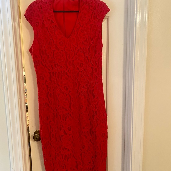 ALEXIA ADMOR | Lace Sheath 10/12 - Picture 7 of 8